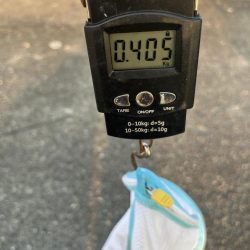 まあまあ型揃い