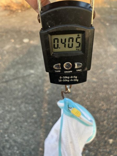 まあまあ型揃い