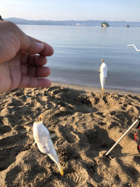 サーフでキス狙い