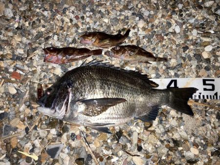 久しぶりの再会