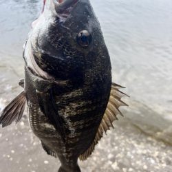 雨でも釣行！！