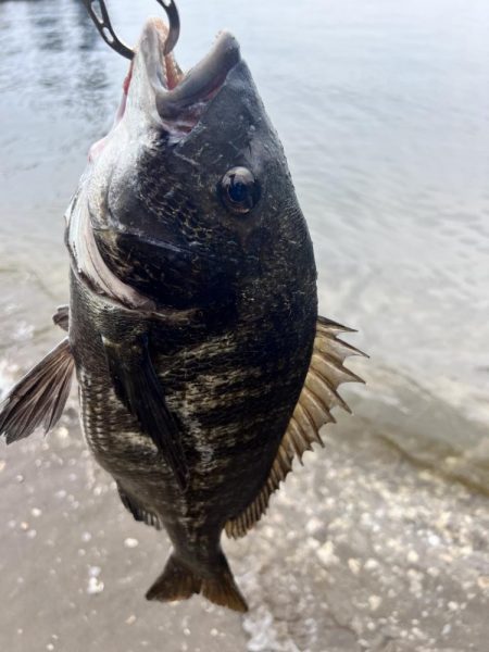 雨でも釣行！！