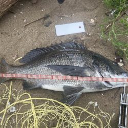 15日，午前の部。