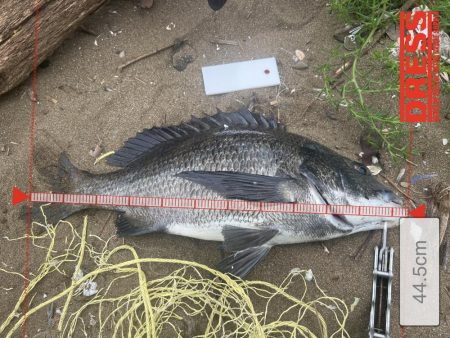 15日，午前の部。