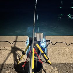 サビキ無双への糸口？