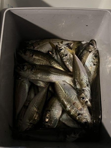 ３連休最終日の午前の部！！