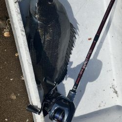 朝から日が落ちるまで！！