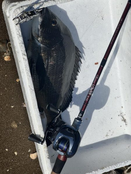 朝から日が落ちるまで！！