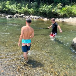 和歌山有田川でテナガエビ