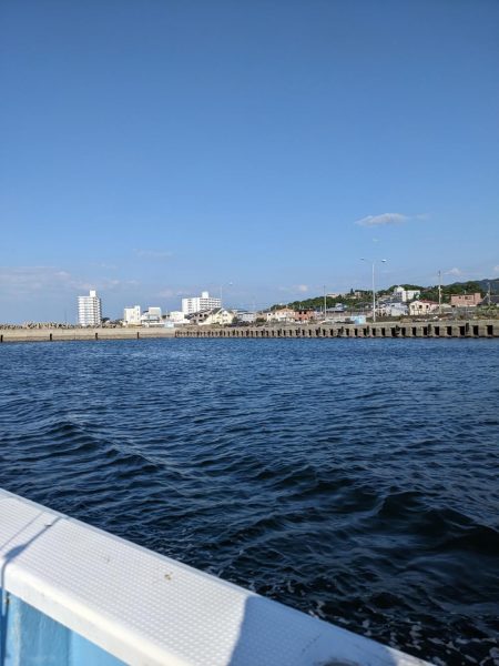 アコウいっぱい