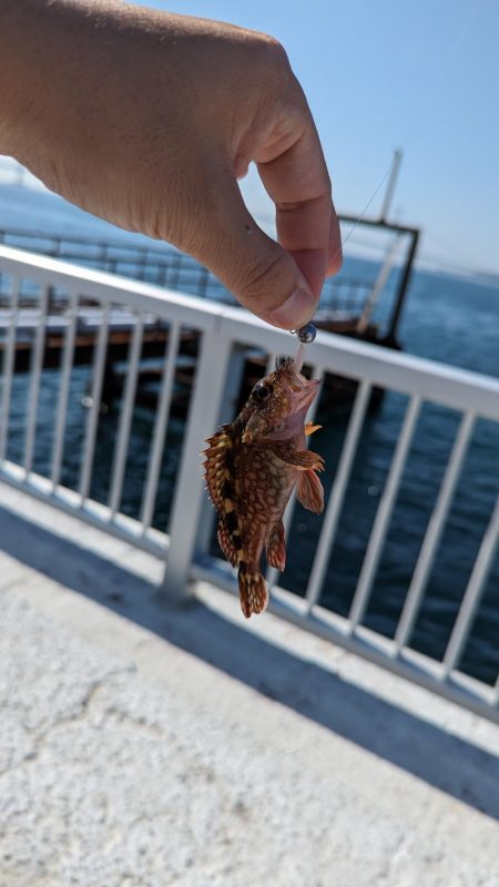 明石市役所裏でライトゲーム