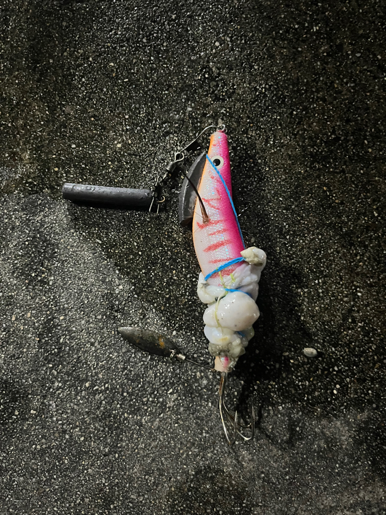 オクトパッシング