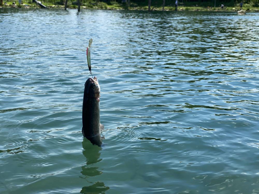 エリアトーナメント高島の泉