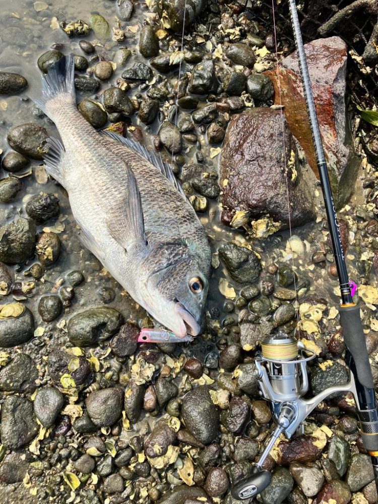 トップチニング