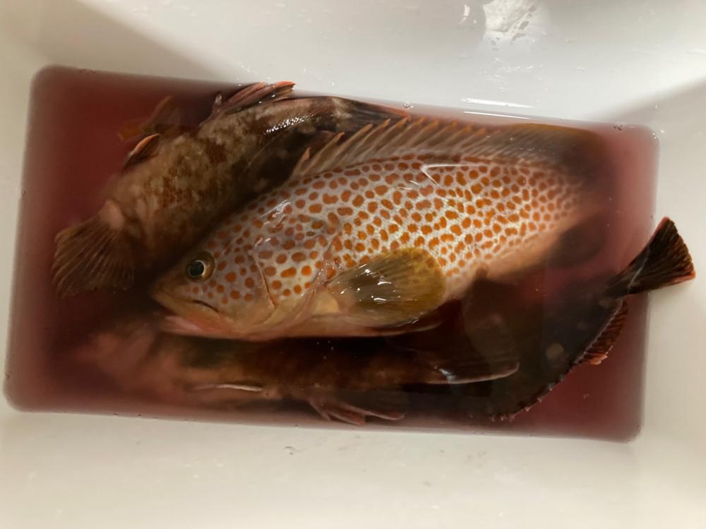 トレジャーハント成功‼️