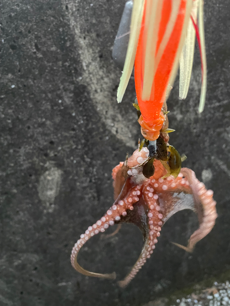 なかなか、難しい、、