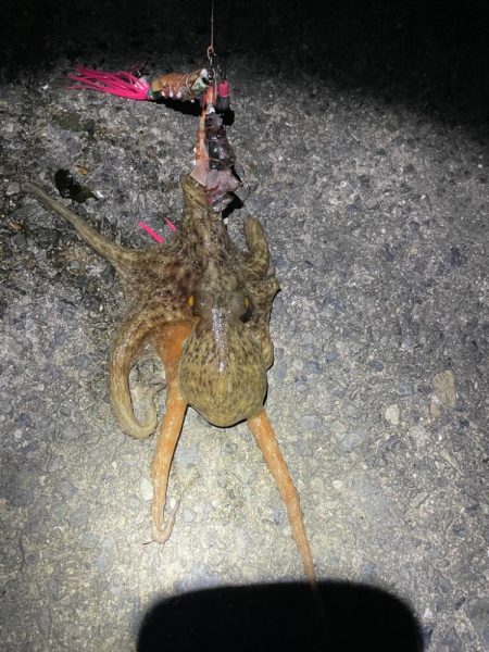 最近ハマってます