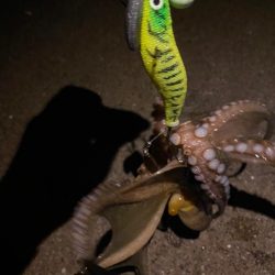 オクトパッシング