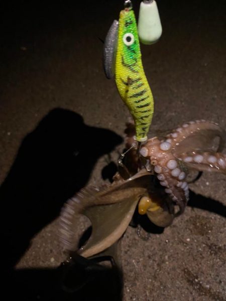 オクトパッシング