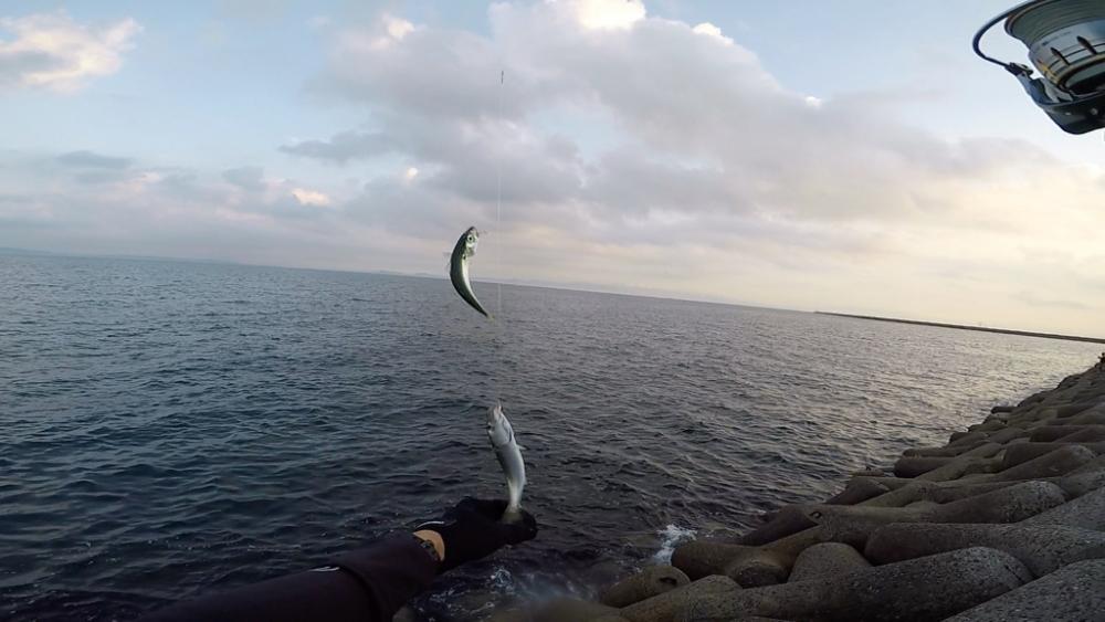 2023ライトゲーム第27戦