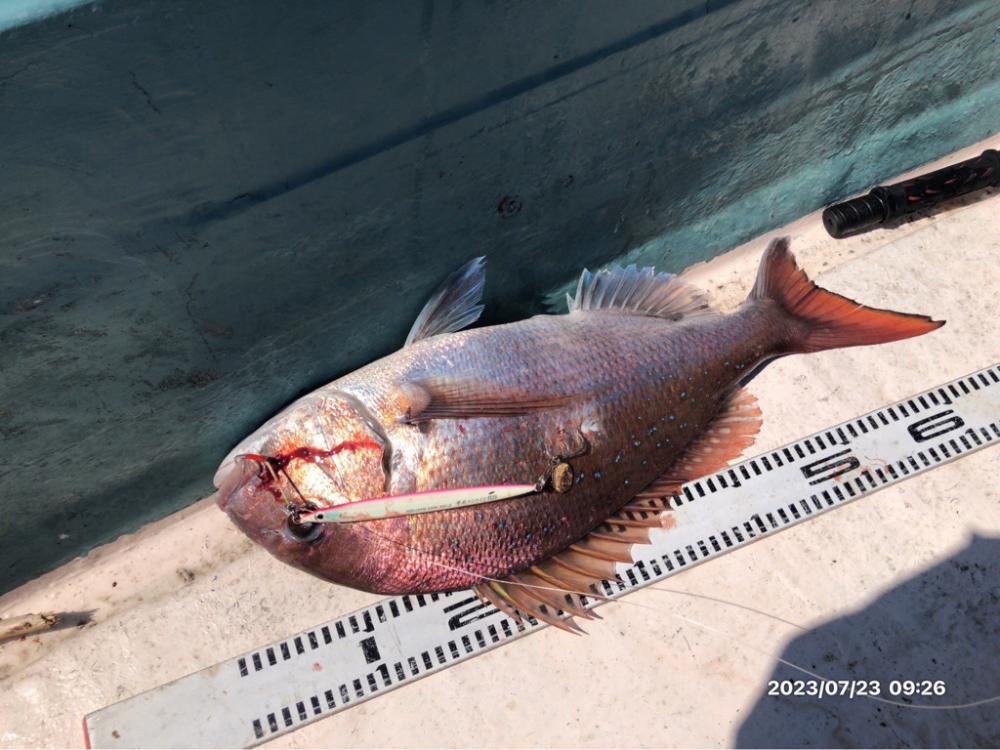 7/23 伊島沖 ジギング ジグサビキ