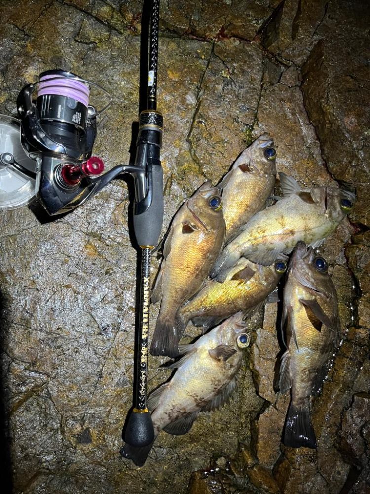 デカイ、、、。