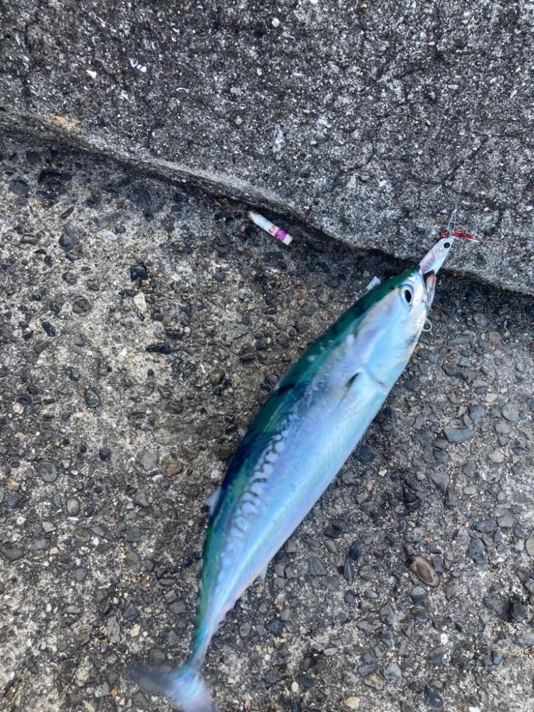 ジグザグカニ歩き釣法