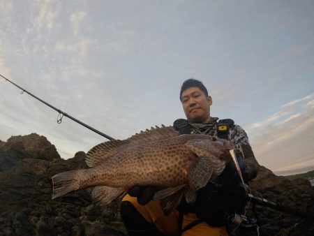 ジャックアイマキピタで良型オオモンハタ
