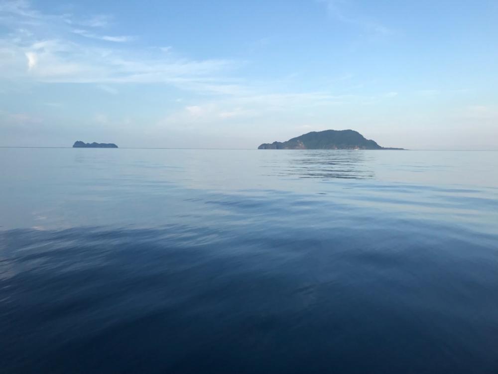 舞鶴のイカメタルゲーム