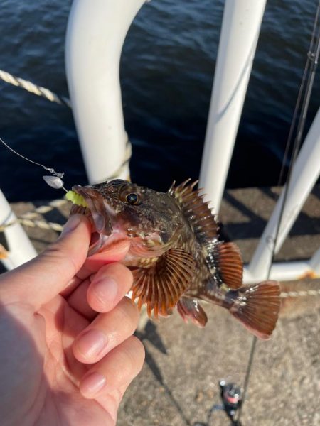 Newロッド入魂式