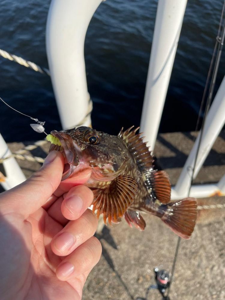 Newロッド入魂式