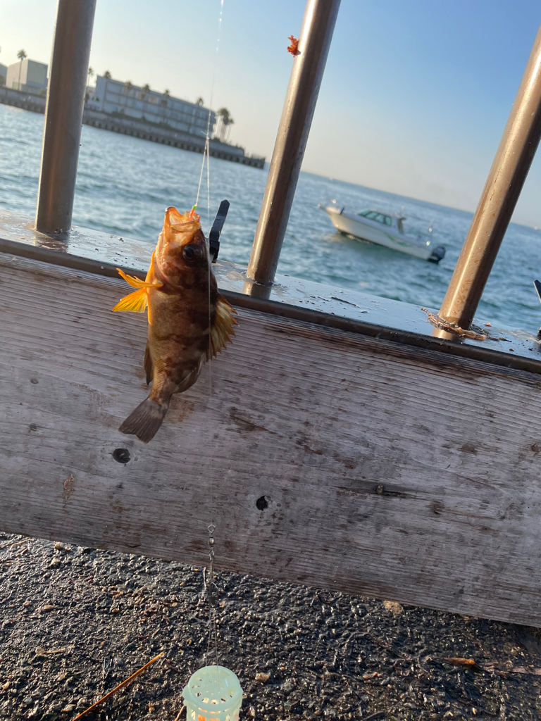 いい重みでした^_^