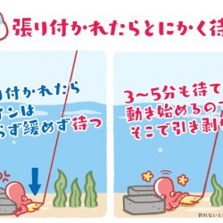 狙いは絞って行く方が釣りやすい!?