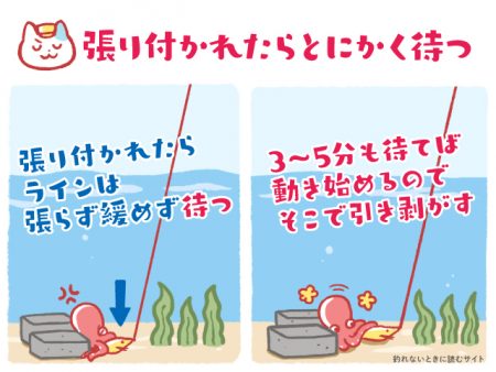 狙いは絞って行く方が釣りやすい!?