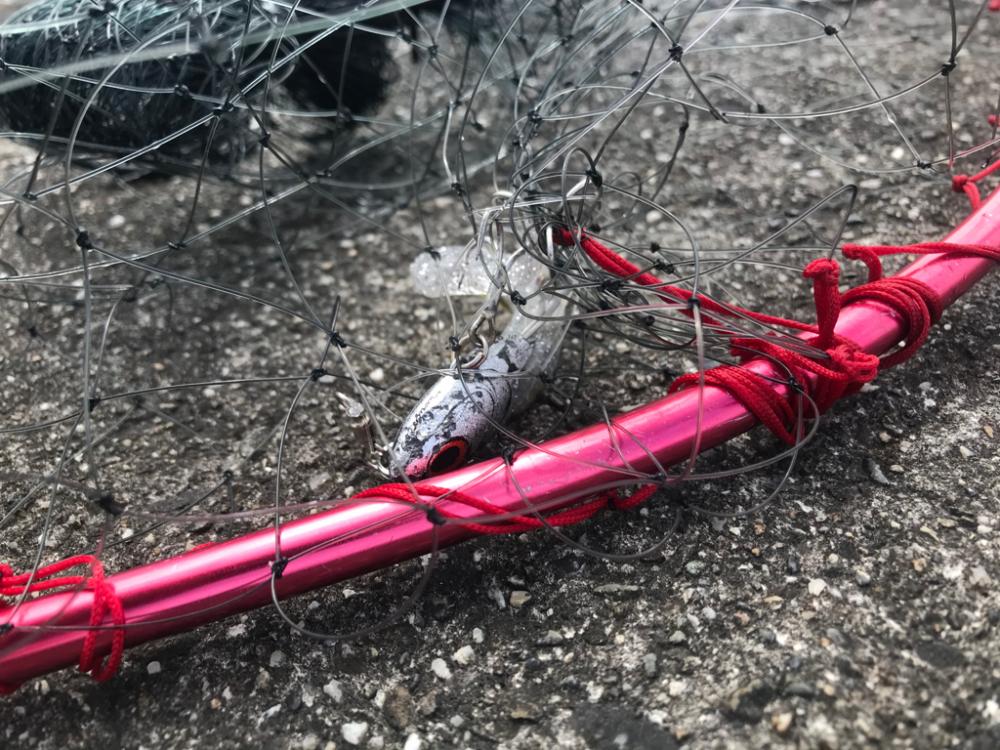 キス釣りの前にちょこっと