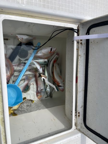 大雨前のマイボート釣行