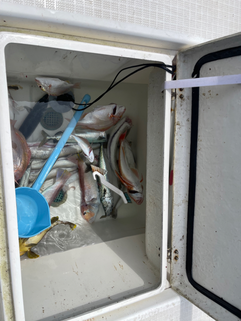 大雨前のマイボート釣行