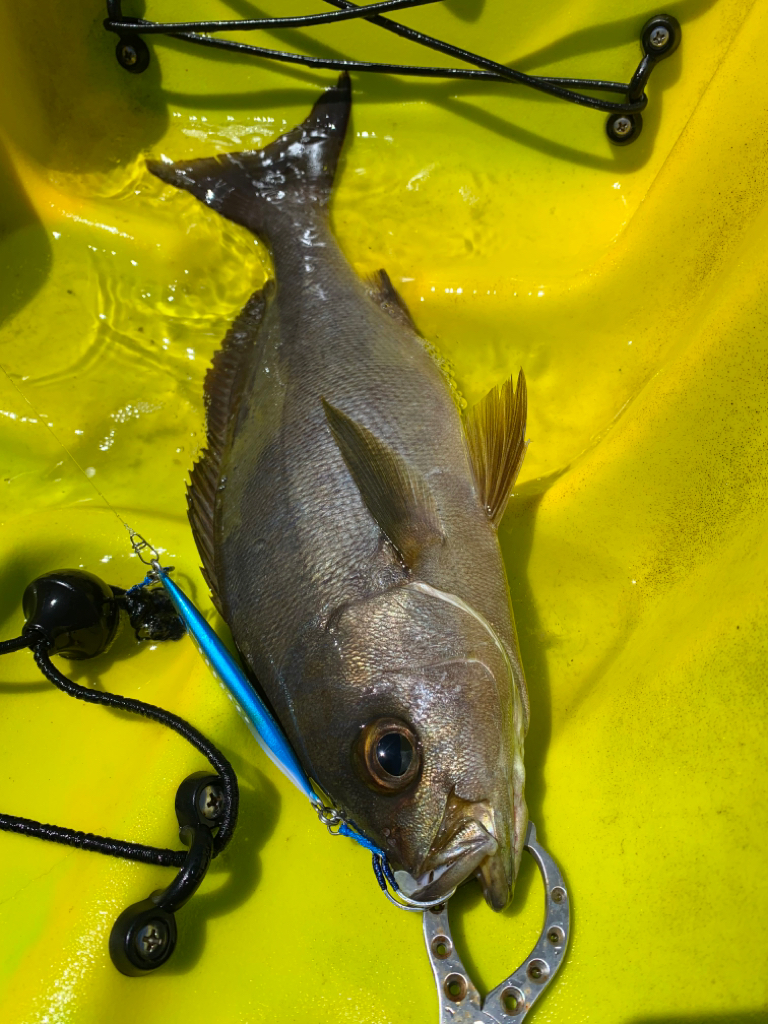 カヤックフィッシング