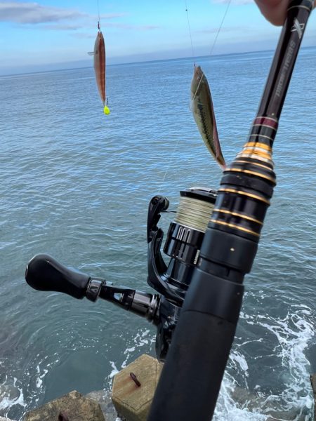 久しぶりの釣行