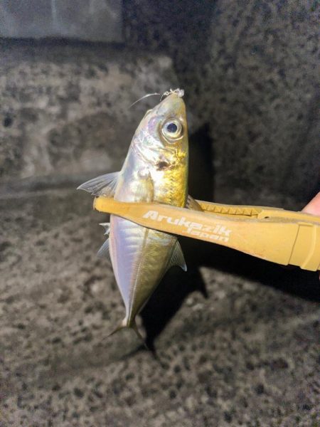 岬町フロートゲーム