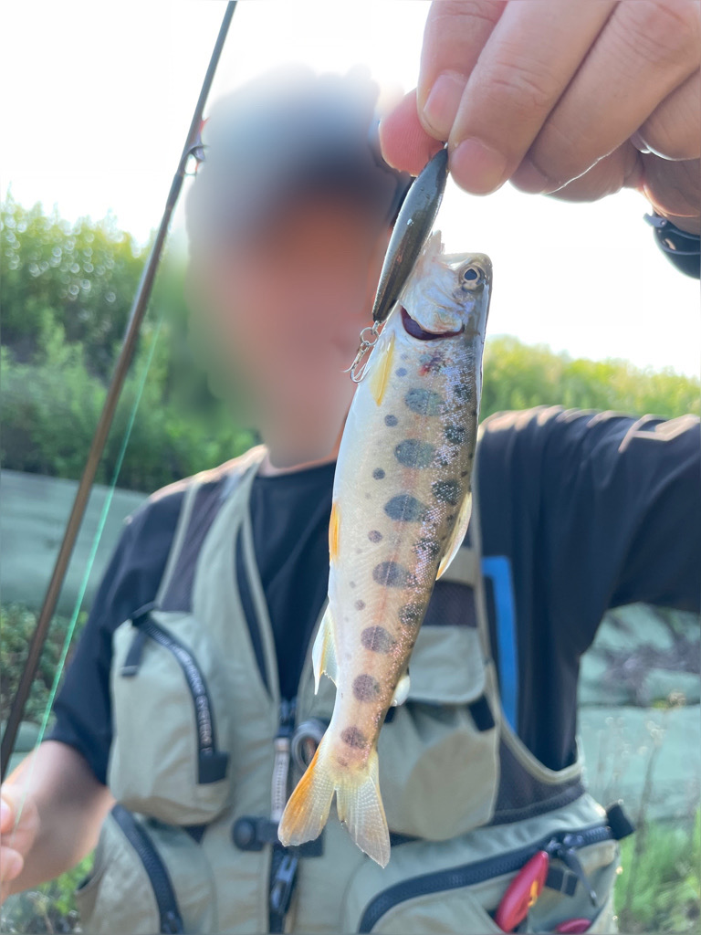 渓流ルアー＆エサ釣り