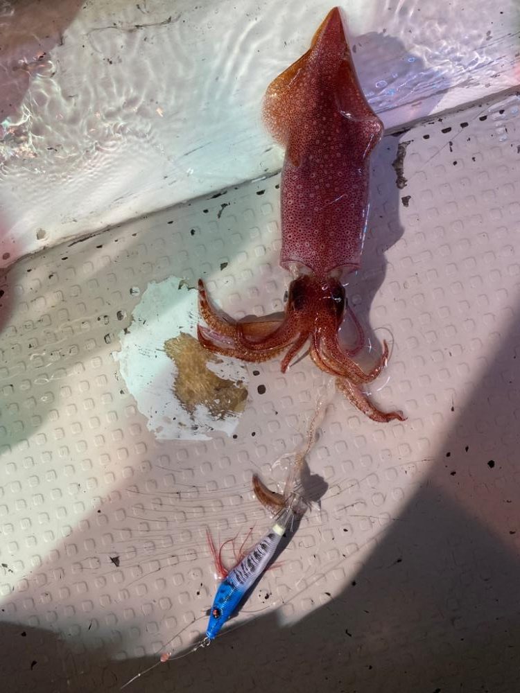 おとなの夜遊び深夜便