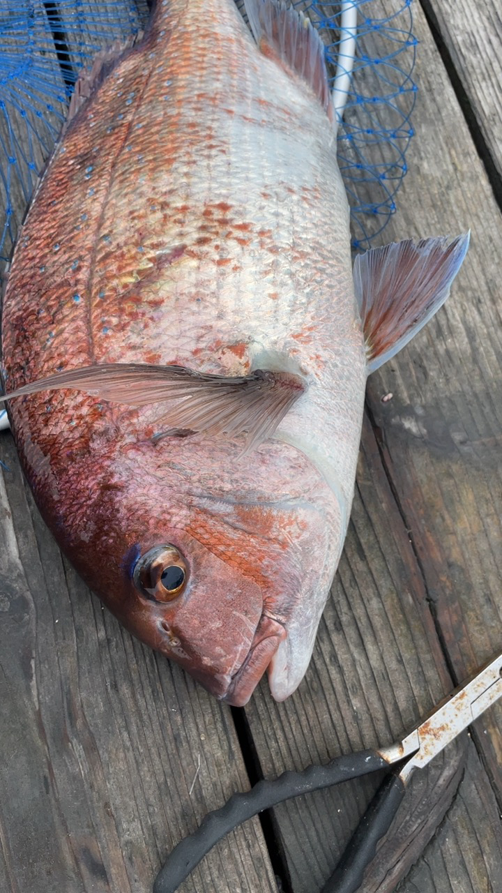 まずまずの釣果