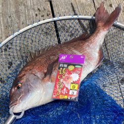 関西釣堀KINGバトル初戦@水宝