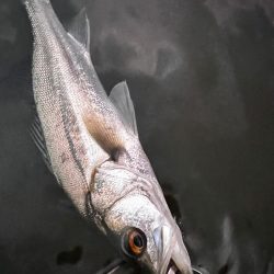 うぇーでぃんぐ