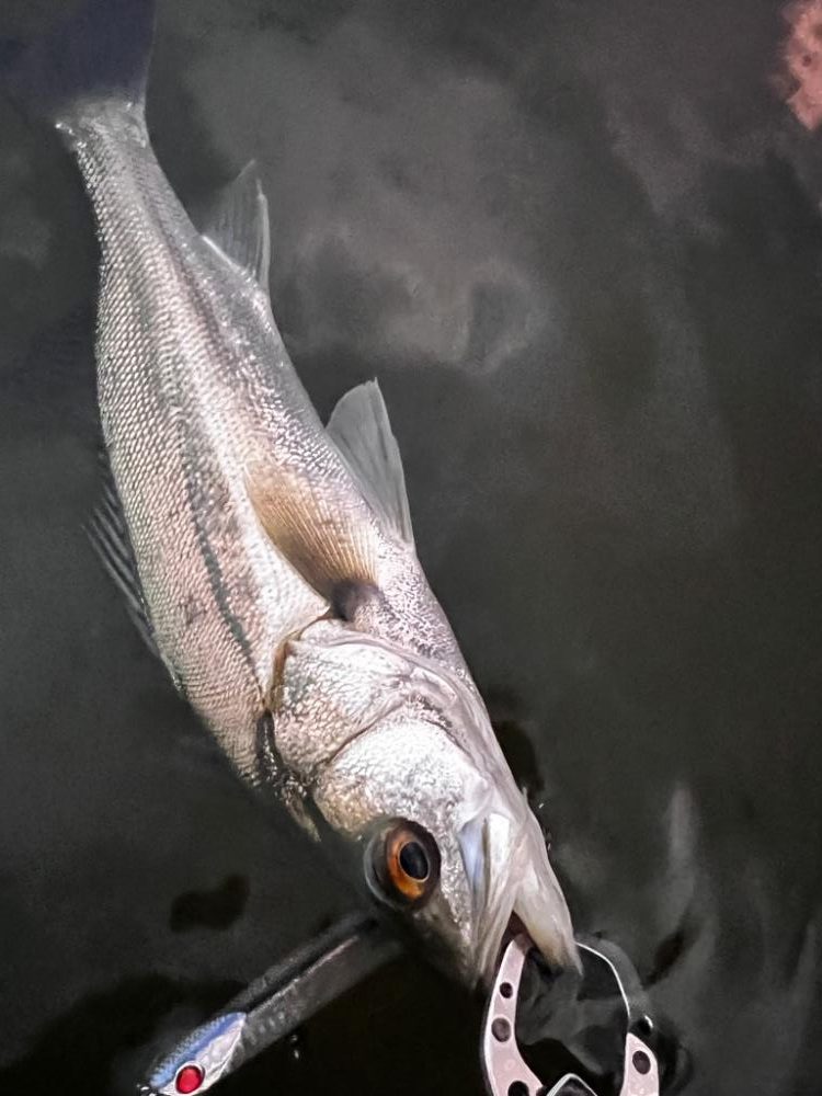 うぇーでぃんぐ