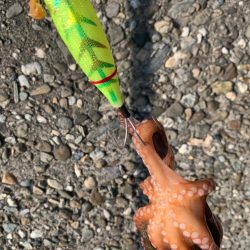 激渋の中、何とか！