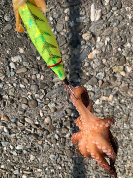 激渋の中、何とか！