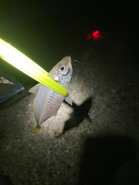 深夜の釣り