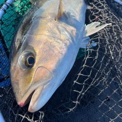 WEST MARINE杯に参加して来ました！